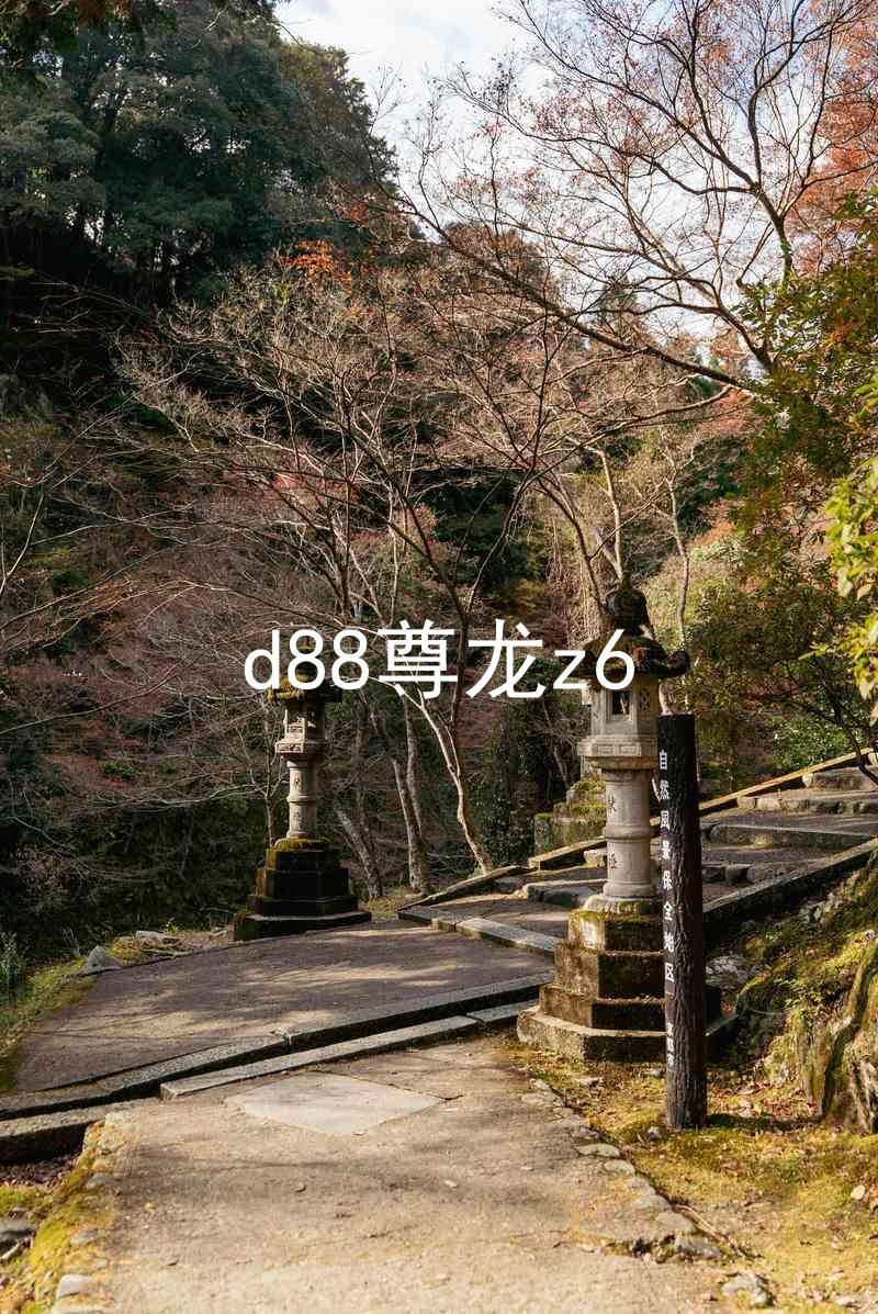 d88尊龙z6