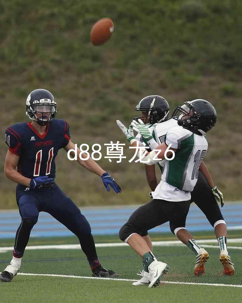 d88尊龙z6
